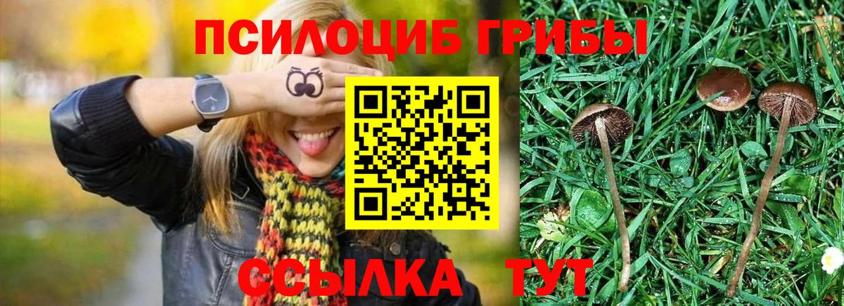 Лиски  Псилоцибиновые грибы MAGIC MUSHROOMS  Вход с VPN 
