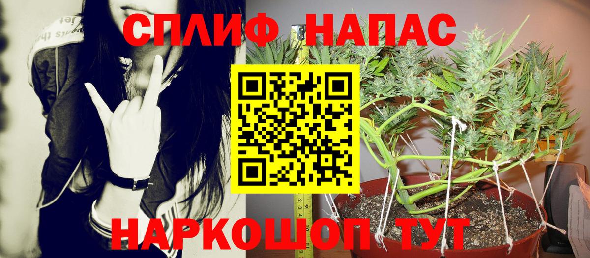 Канабис план  Каннабис план  Бошки марихуана Ganja  Лиски  Марихуана Ganja  Вход с VPN 